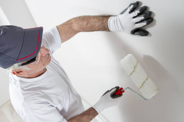 Best Mold Removal for HVAC Installations  in The Pinehills, MA