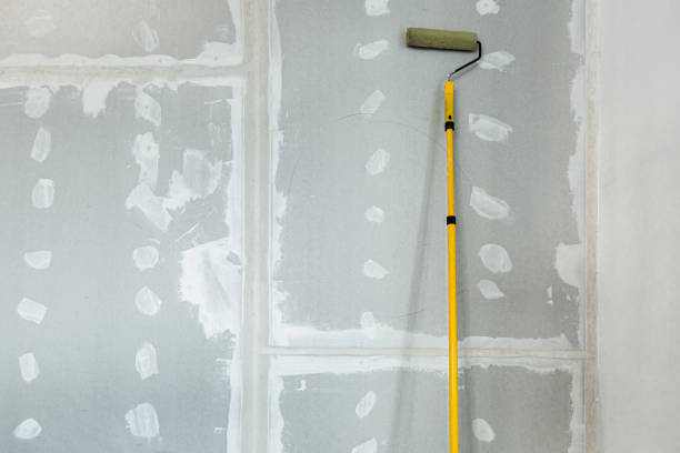Professional Mold Removal in The Pinehills, MA
