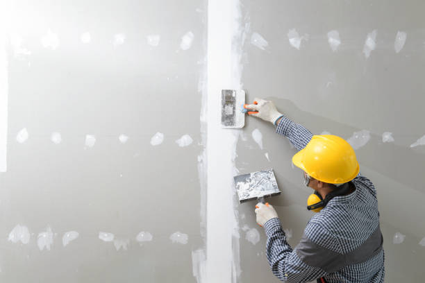 Mold Remediation for Vacation Homes in The Pinehills, MA