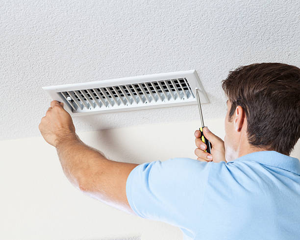 Best Mold Odor Removal Services  in The Pinehills, MA